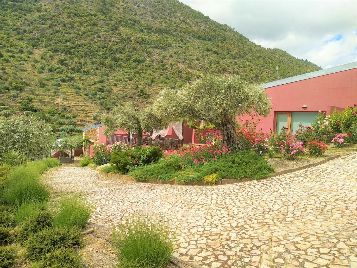 Quinta Vale De Carvalho Guest House Pinhal do Douro Exterior photo