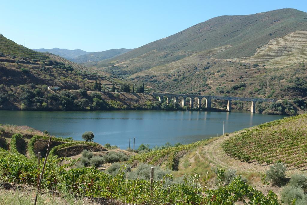 Quinta Vale De Carvalho Guest House Pinhal do Douro Exterior photo